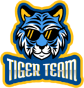 Tiger Team